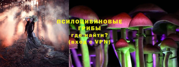 амф Арсеньев