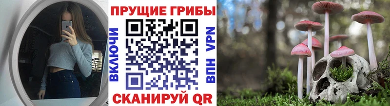 Купить закладки Нижний Новгород Псилоцибиновые грибы ЛСД